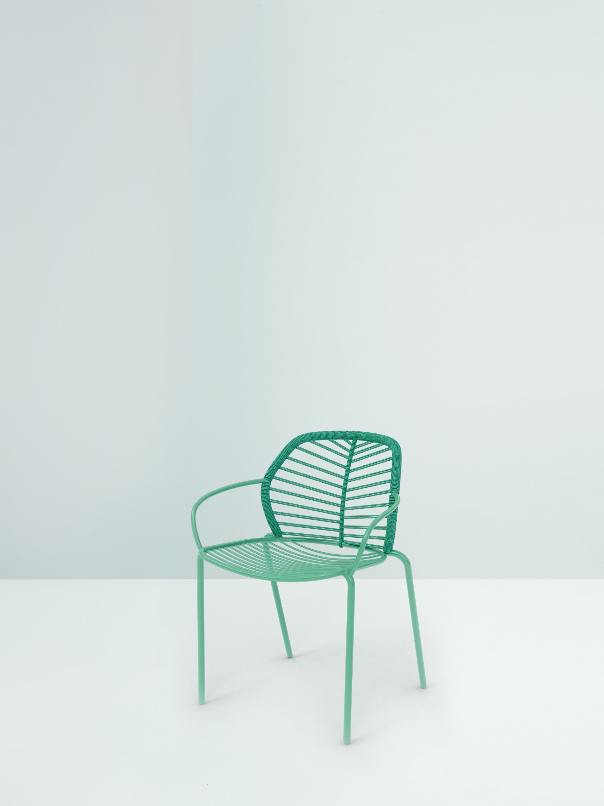 le-foglie-136-12-8-a